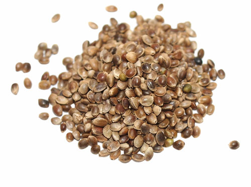 Hemp Seeds
